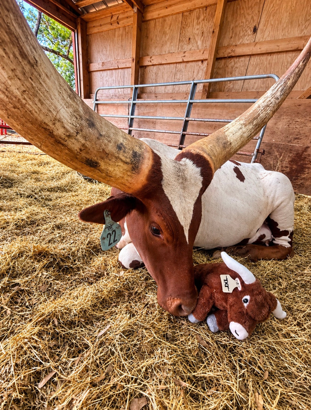 Watusi Dirty Dollar Plush