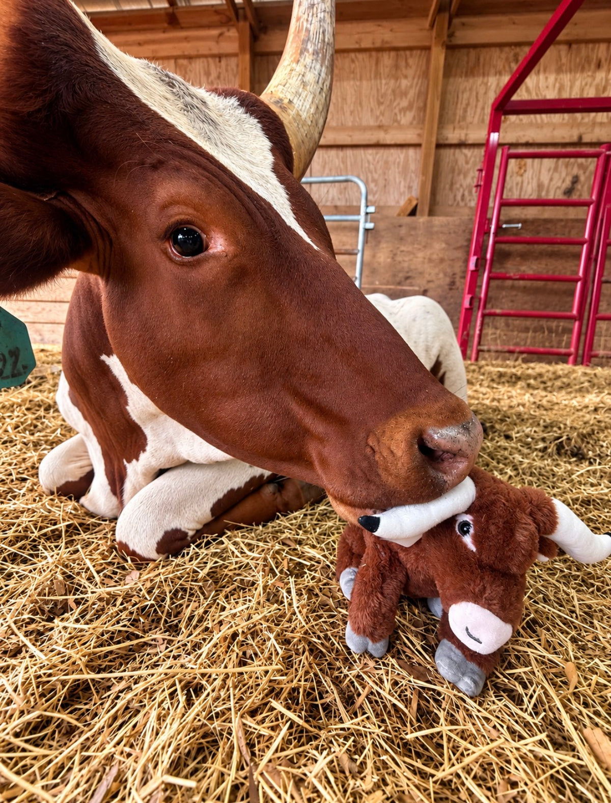 Watusi Dirty Dollar Plush
